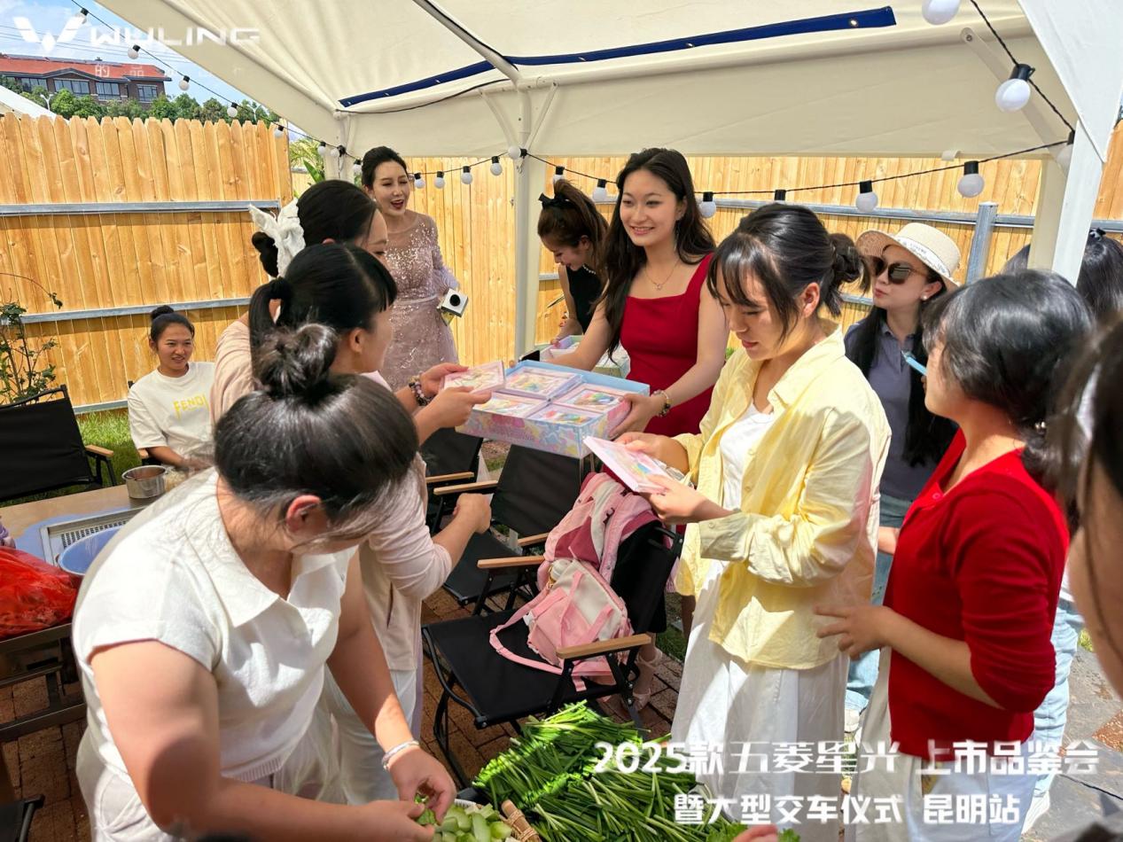 昆明区域上市闪耀开启年轻出行新篇瓦力棋牌游戏2025款五菱星光(图4)